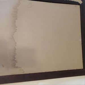 Victorian Lady Picture